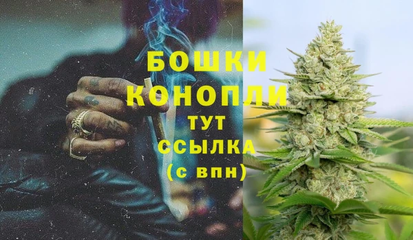 трава Беломорск