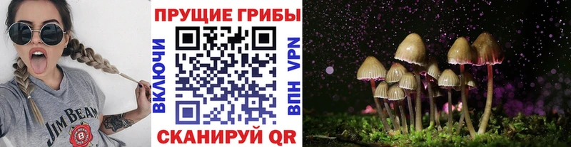 Псилоцибиновые грибы Psilocybine cubensis Городовиковск